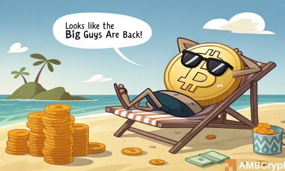 Bitcoin ETFS HIT Registro de entrada: 500x Romper la tendencia 2025! - ¿Qué ahora?
