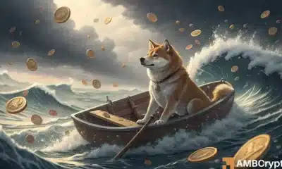 SHIBA INU: Así es como Shib supera a sus rivales en la caída del mercado de 2025