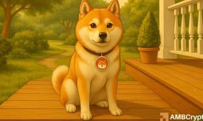 La actividad de ballenas Shiba inu aumenta el 90%, entonces, ¿qué está reteniendo a Shib?