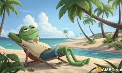 Corrección de precios de Pepe: los comerciantes, la recuperación depende de estos niveles
