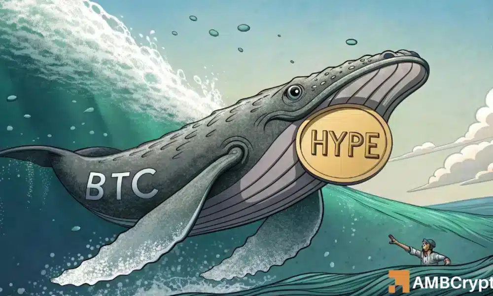 Hype refleja el rally de Bitcoin: lo que significa esta correlación de BTC