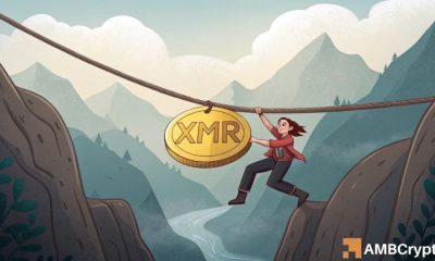 Monero [XMR] Falles libres 15%, pero por qué esto no puede durar