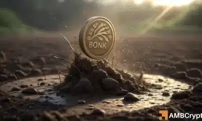 Bonk Bloodbath Sparks $ 4 MLN MOVIMIENTO DE ALMACENAMIENTO DE COLDO - ¿Qué está pasando?