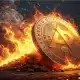 Las ballenas Cardano recogen 410 MLN ADA: ¿es una elaboración de ruptura de mayo?