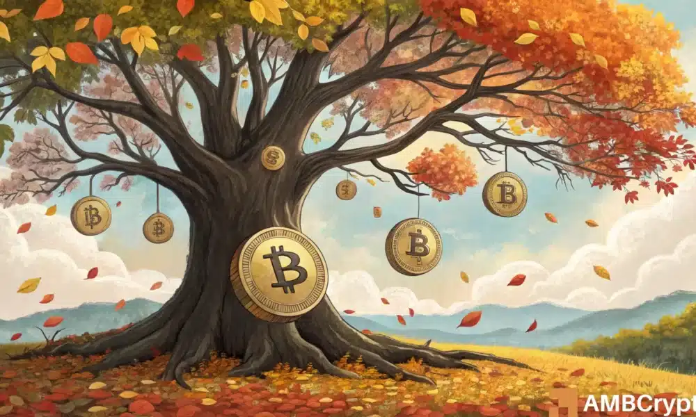 Análisis del ciclo de mercado de Bitcoin: por qué el otoño 2025 podría marcar el próximo pico