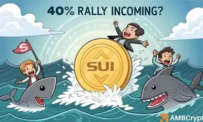¿La entrada de $ 40 MLN de Sui es una advertencia por venta de titulares a largo plazo?