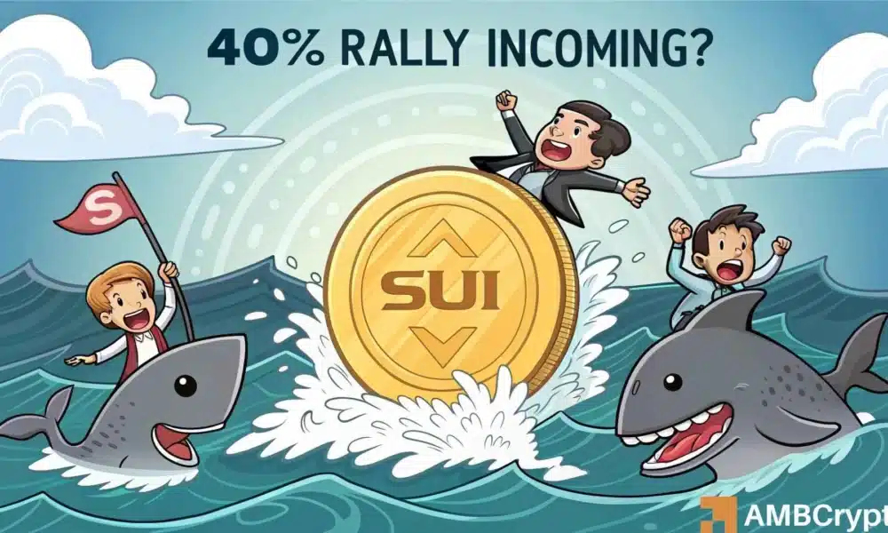 ¿La entrada de $ 40 MLN de Sui es una advertencia por venta de titulares a largo plazo?