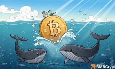 Bitcoin: Las ballenas retiran 110k BTC - ¿Un preludio a un ATH nuevo?