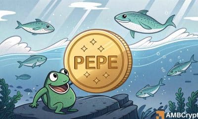 Pepe Whales Bet Big: ¿Se dirige a un rally del 38%? - Las métricas revelan ...
