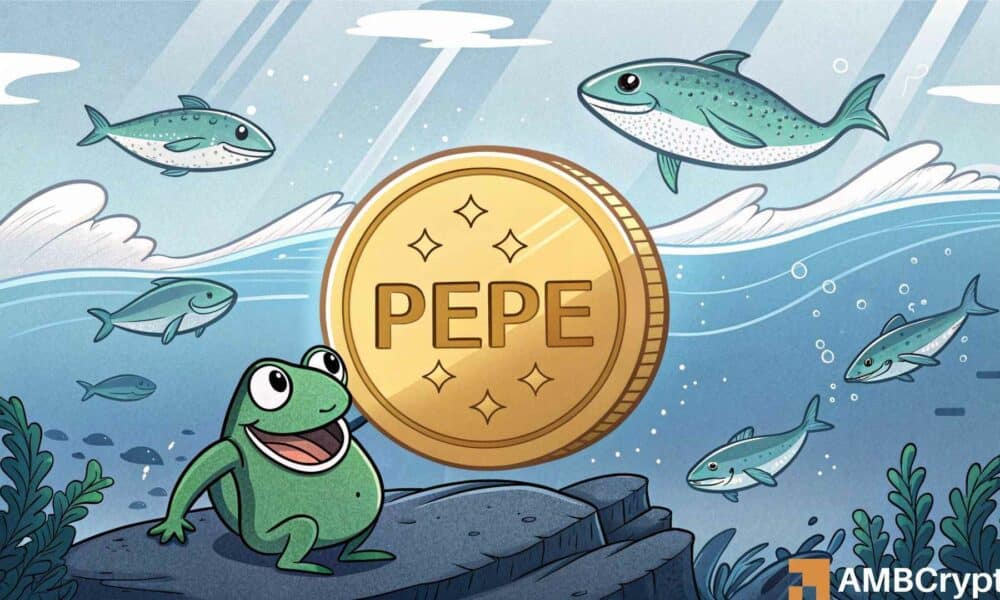 Pepe Whales Bet Big: ¿Se dirige a un rally del 38%? - Las métricas revelan ...