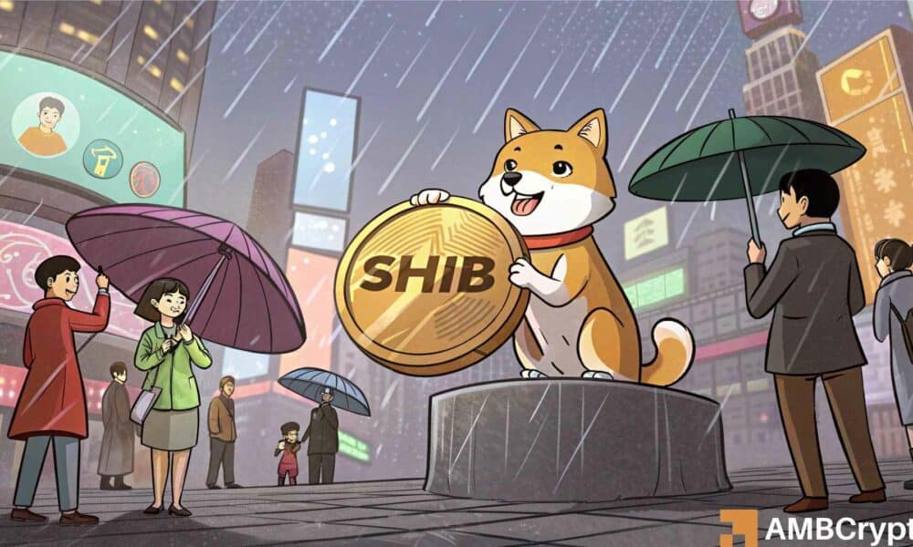 Shiba inu corre el riesgo de 18%, pero las ballenas siguen comprando. ¿Qué saben?