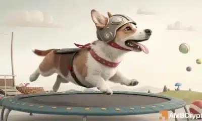 Analizar el rebote de Floki y lo que significa para su próximo rally de precios
