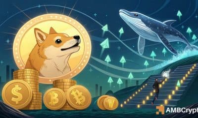 Mapeo del camino de Dogecoin: resistencia o retroceso de $ 0.24, ¿qué sigue?