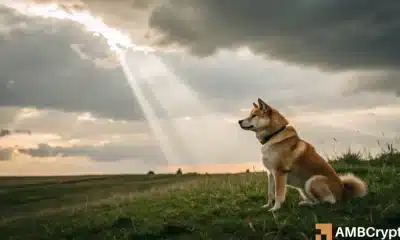 El retroceso a corto plazo de Dogecoin significa que su próximo rally de precios ...