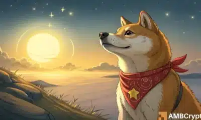 DOGECOIN: La presión de compra empuja a dux más alto: ¿pueden $ 0.3 a continuación?