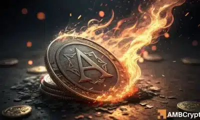 Algorand [ALGO] ojos $ 0.31, pero esto dice 'no tan rápido'