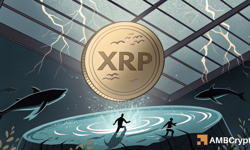 Spikes de actividad de ballenas XRP: ¿finalmente viene una ruptura?