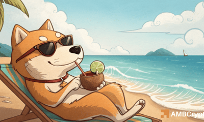 La tasa de quemaduras de Shiba INU aumenta el 4,833%: ¿El precio de SHIB seguirá su ejemplo?