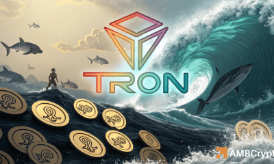 TRON: ¿Pueden estos 2 factores llevar a TRX a dispararse más allá de $ 0.25?