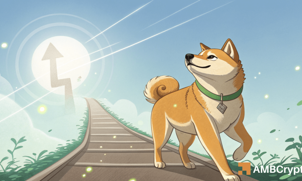 793 MLN Dogecoin Shift - ¿Es una ballena detrás del pico del 12% de Doge?