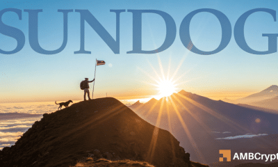 Spike de volumen del 204% de Sundog: ¿Qué hay detrás de esta manía corta y shreeze?