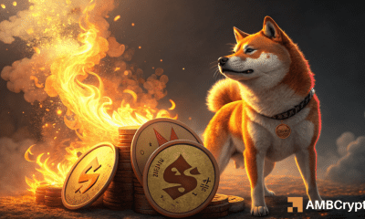 Shiba Inu Burn Rate Rockets 8,925% - ¿Ayudará a SHIB disparar a $ 0.0000153?