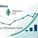Ethereum ETF demanda a Booms, agregando $ 6.5 millones en capital nuevo, ¿qué ahora?