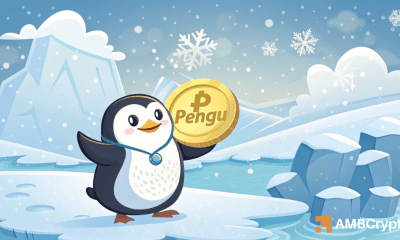 Breakout de Pengu Ay: Comerciantes, ¡ten cuidado con estos niveles!