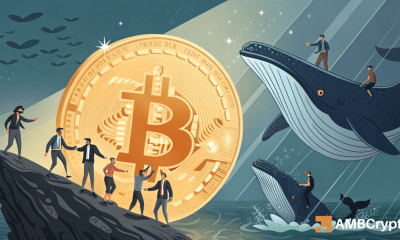 Las entradas de ballenas de bitcoin bajan un 40%: ¿puede este grupo superar a BTC más de $ 103k?