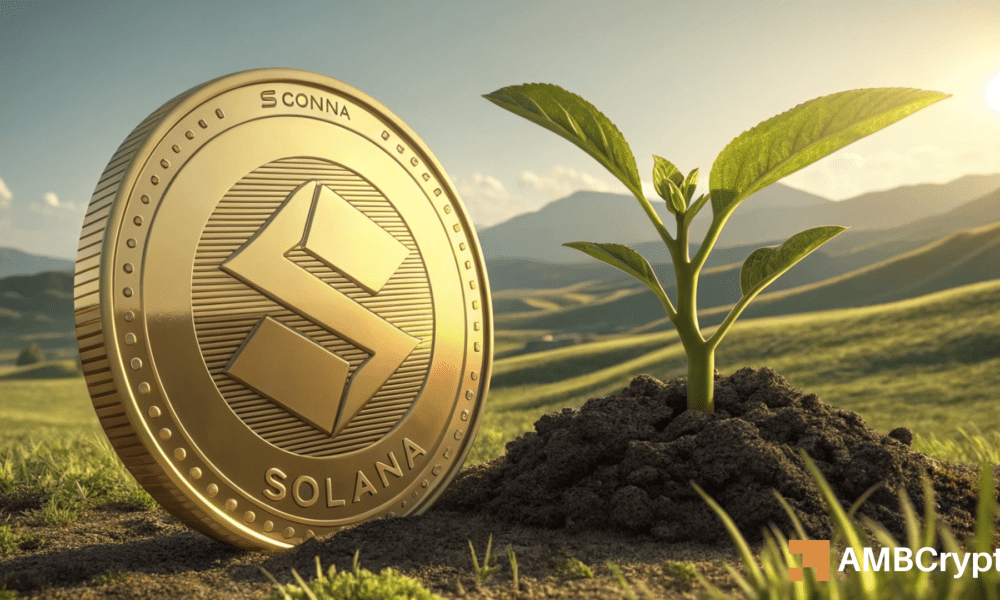 Solana ballena apuesta $ 50.8 MLN SOL: ¿Por qué todos los demás están jugando a salvo?