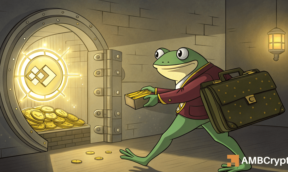 Pepe Down 8% como picos de actividad de ballenas: ¿Qué viene después?