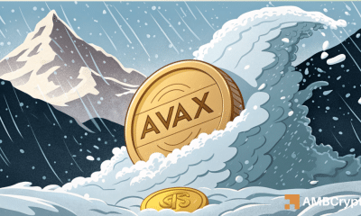 Examinar si el impulso alcista de Avax será suficiente para el próximo rally de precios