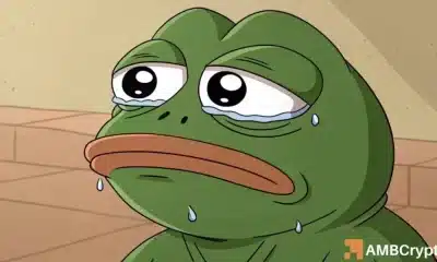 Pepe cae 17% en 24 horas: por qué podría seguir más dolor