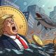 5 Las ballenas Trump depositan 126k tokens en Bybit: ¿El precio caerá por debajo de $ 10?