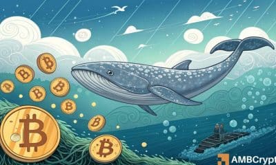Bitcoin Whale se mueve $ 206 MLN ya que BTC se mantiene firme por encima de $ 100k