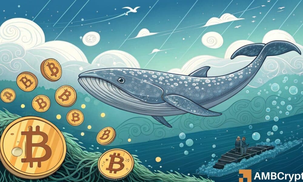 Bitcoin Whale se mueve $ 206 MLN ya que BTC se mantiene firme por encima de $ 100k