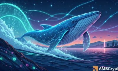 TRON: Ballenas Dump 231M TRX - ¿Aún un rally de $ 0.30 en las cartas?