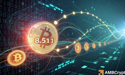 Bitcoin: 8,511 BTC movido en la cadena: qué LTHS está tratando de mostrarnos