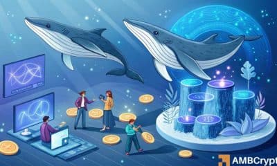 Tug of War de Neiro: Whales Hoard 58mln, pero por qué los osos permanecen a cargo