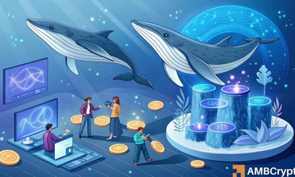 Tug of War de Neiro: Whales Hoard 58mln, pero por qué los osos permanecen a cargo