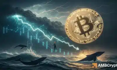 Bitcoin: Este indicador refleja la carrera de toro del 2024: ¿se repetirá la historia?