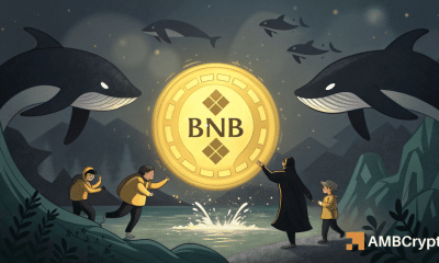 BNB aumenta, pero las ballenas apostan en contra: ¿Bulls está ignorando la advertencia?