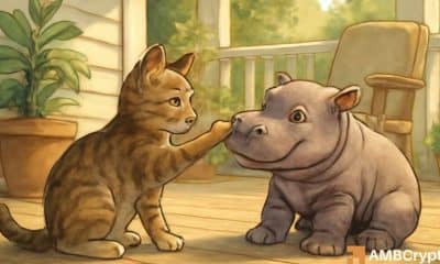 Moodeng, MEW Crypto Pump después del listado de Robinhood - ¿Qué sigue?