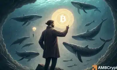 Las ballenas de ballenas bitcoin se agitan en Binance - ¿Advertencia de advertencia por delante para usted?
