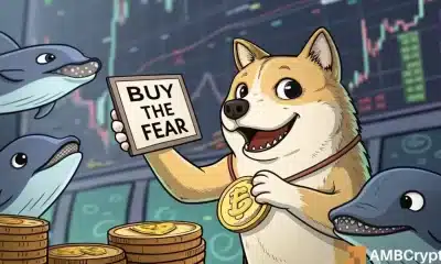 Dogecoin en el borde: ¡Alto apalancamiento, bajo FOMO y una última esperanza!
