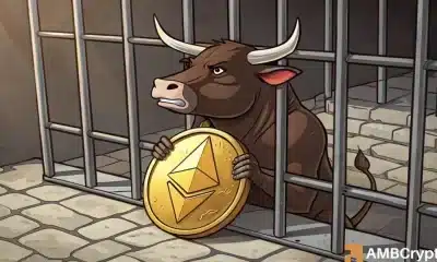 Ethereum Whale se carga como Bitcoin Consolidate: ¿Bold Move o una trampa?