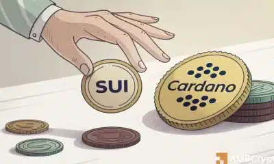 La ventaja de Sui sobre Cardano: lo que nos dice la psicología de los inversores
