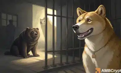 La caída del 14% de Dogecoin podría ser su mayor trampa para osos hasta ahora; aquí está por qué