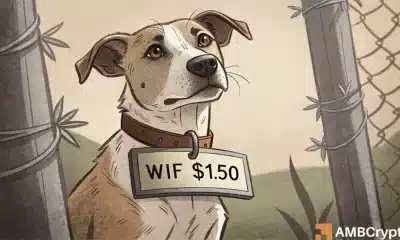 Dogwifhat: Carga de ballenas, decoloración minorista: ¿debería comprar la salsa de WIF?