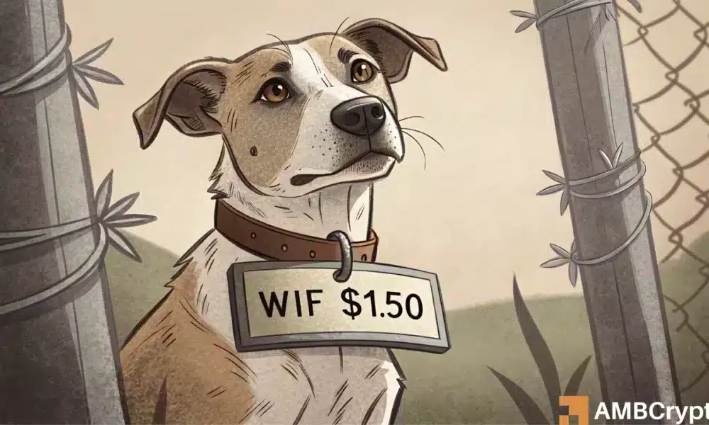Dogwifhat: Carga de ballenas, decoloración minorista: ¿debería comprar la salsa de WIF?